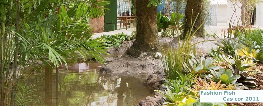 Lago artificial